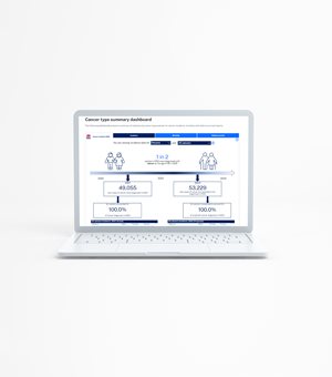 Cover of the Implementation Plan