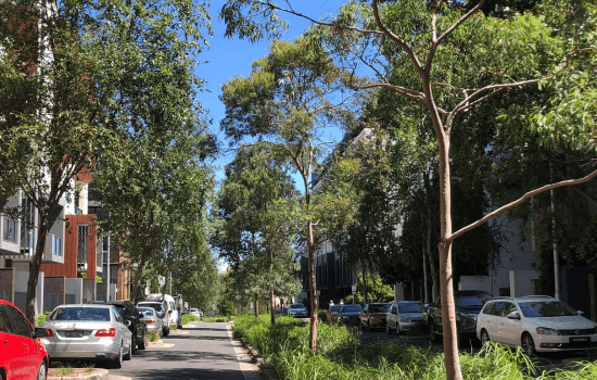 Sustainable Streets Project
