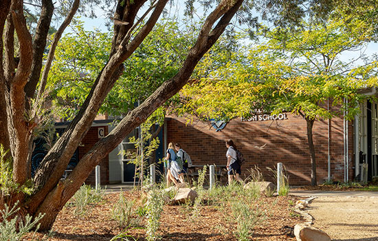 Cahill Highschool behind its new shade