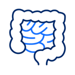 Physical inactivity is responsible for 16%25 of the bowel cancer burden