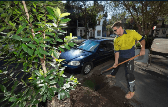Sustainable Streets Project