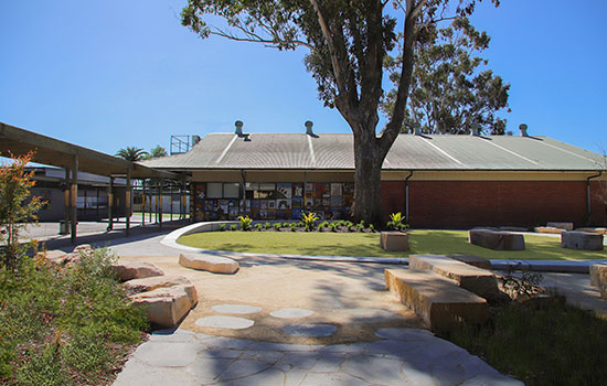 A long shot of the entire playground